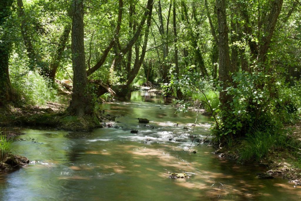 Paraiso Del Hueznar Казалла де ла Сиерра Номер фото